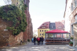 IMGP6254